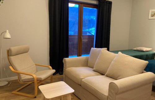 Apartamenty Black Lion - Foto 75