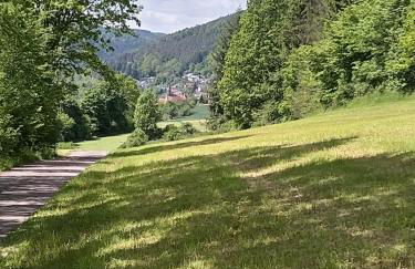 Ferienwohnung Morretalblick - Foto 20