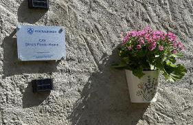 Dina’s Flower House - Foto 10