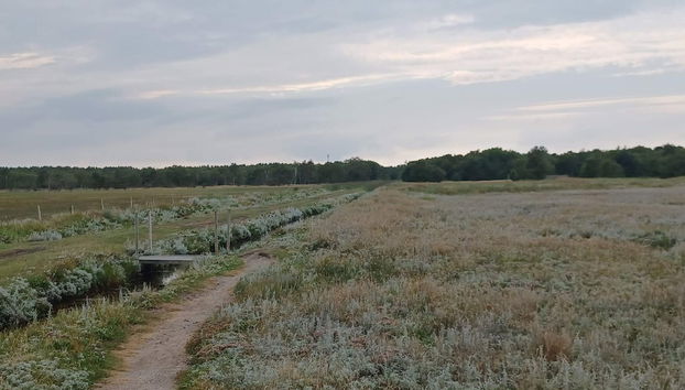 Tranquil Oasis With Sauna and Whirlpool-by Traum - Foto 3