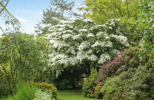 Garden Studio - Foto 18