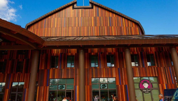 Excursion à Frutillar - Photo 4