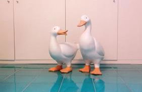 Villa HELVEZIA - Foto 30