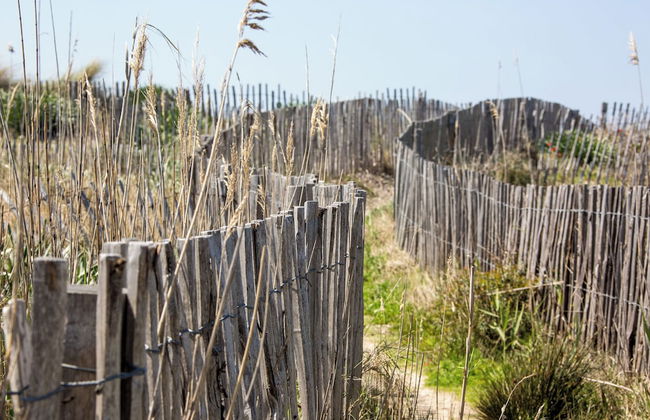 Villa de La Madrague – Presqu’île de Giens - Foto 74