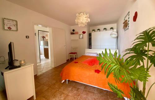 Apartments Atila - Foto 14