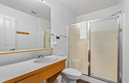 2 MI to USF + Long Term Stays allowed + Gym + Pool - Foto 33