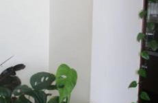 Três quartos Graça - Foto 27