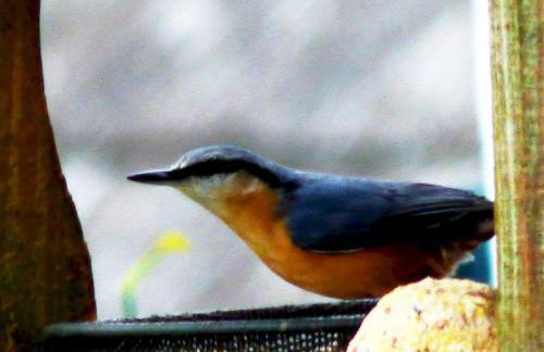 The Old Mill Cottage - Foto 76