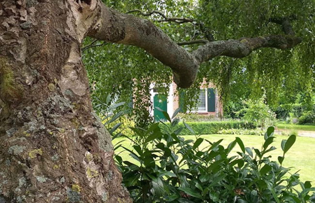 Holiday Home in Soerendonk With Garden - Foto 29