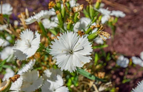 Alpine 4 Bedroom Retreat with Hot tub and Pool table - Foto 54
