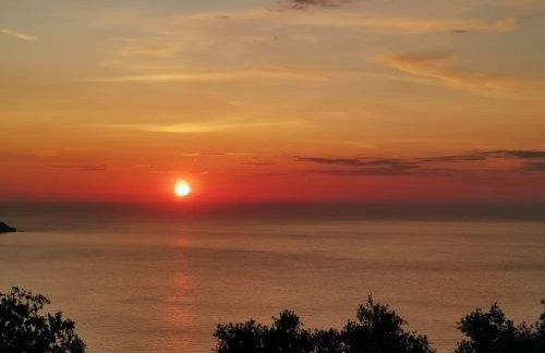 LEMON TREE GARDEN near Mirtos beach - Foto 20