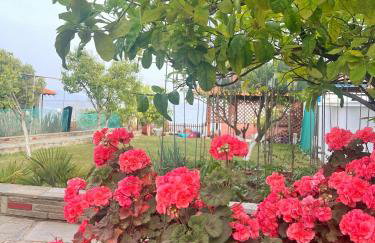 Villa VaLenia - Foto 41