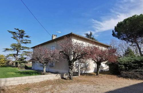 Maison Gaillacoise - Foto 3