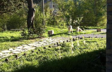 Taverna Centomani - Photo 16