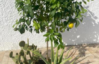 Villa Veranos, Rojales, Benijofar, Alicante, Valencia - Foto 41