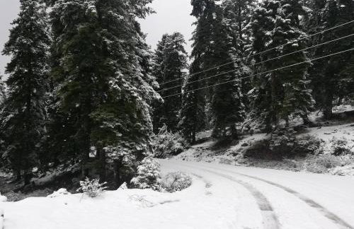 Xenonas Kypseli - Foto 77