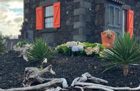 Casa Baleia Laranja Ocean-Front - Photo 46