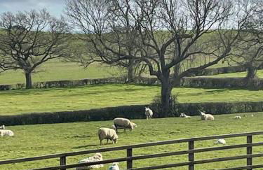 Little gem at foot of Malvern Hills - Foto 19