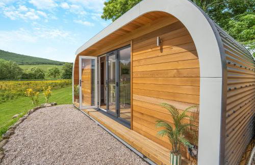 Freedom Fields - Bluebell - Photo 1