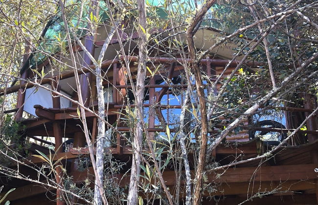 Teniqua Treetops - Foto 7