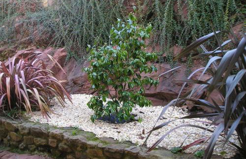 Apartamentos Rurales Obaya - Foto 22