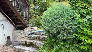 Chalet Le Triollet - Foto 1, Garden