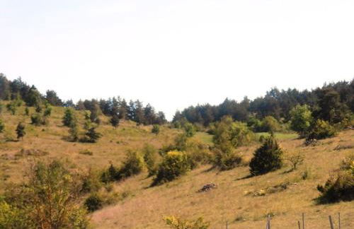 Gîte L'Ecole d'Antan 5/6 personnes - Foto 15