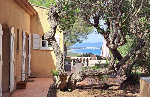 BASTIDE PRESQU ILE DE GIENS SUPERBE VUE MER PISCINE - Photo 9