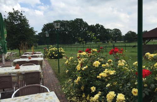 Sterne-Anlage HOF NIEMEYER Steinhuder Meer - Foto 36