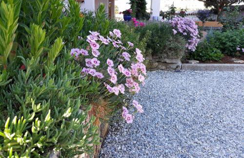 Apartmani Bernarda - Photo 34