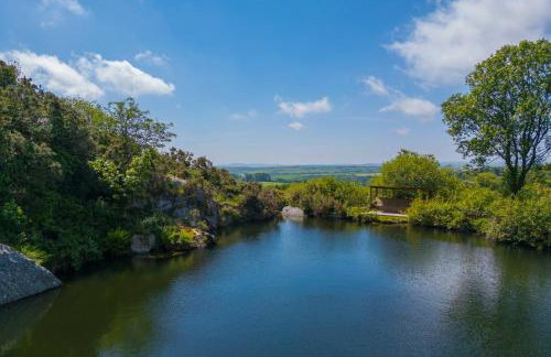 Costentyn, Tor Down Quarry - Foto 47