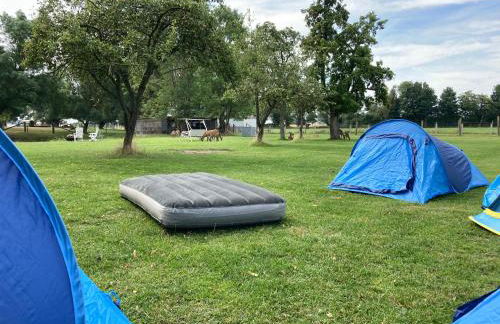 Gutshaus Pinnow - Foto 17