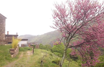 Gîte de la Salamandre - Foto 27