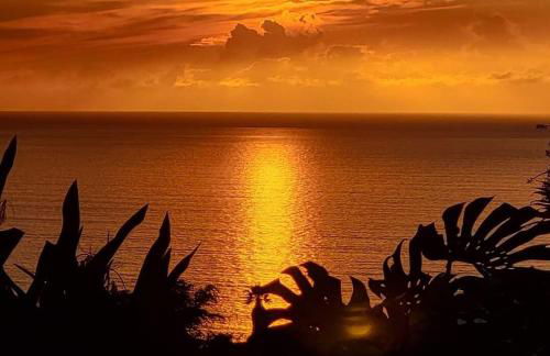 Hale Mapuana - Foto 40