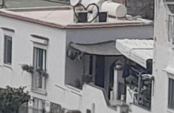 La Necussella - Foto 14