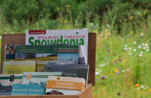 Dol Y Mynydd The Mountain Meadow - Cottage - Photo 31