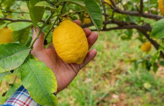 KrinesGReece - Foto 40