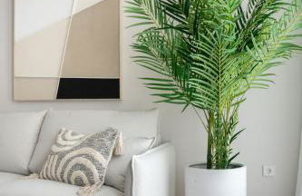 Monumental Petén by Manlia - Foto 33