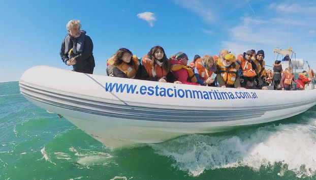 Avistamiento de delfines en Puerto Rawson - Foto 5