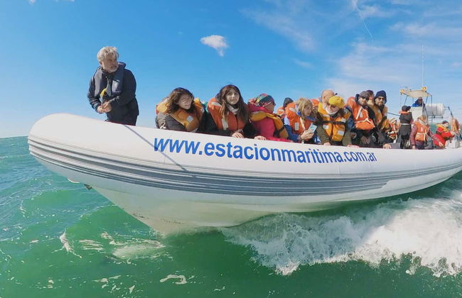 Avistamiento de delfines en Puerto Rawson - Foto 5