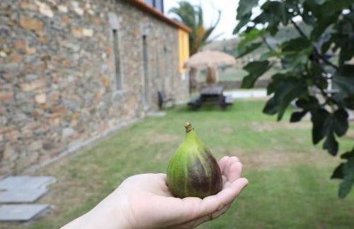Quinta dos Avidagos AgroTurismo Mirandela - Foto 15