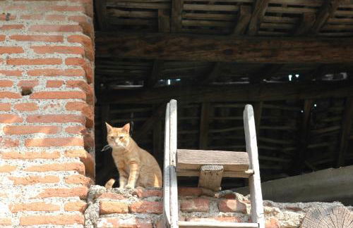 Agriturismo Cascina Scanna - Foto 96