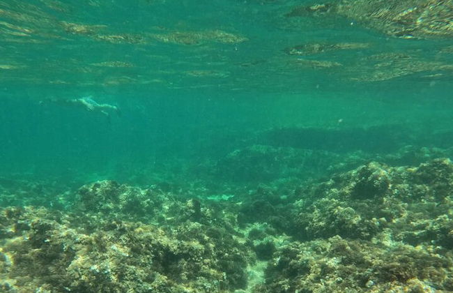 Excursão pela costa de bicicleta elétrica em Alicante com lago de peixes Román e mergulho com snorkel - Foto 17