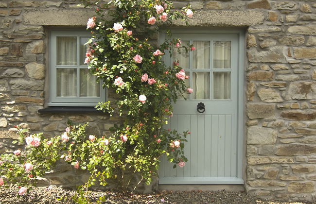 Parc-yr-Hebog - Photo 1