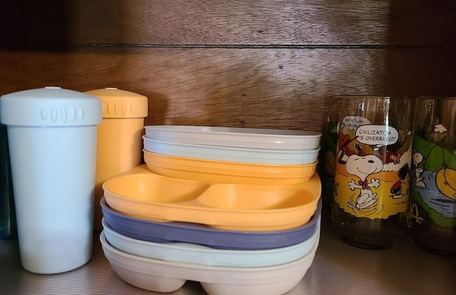 Back in Time 1940s Lake View House - Photo 9