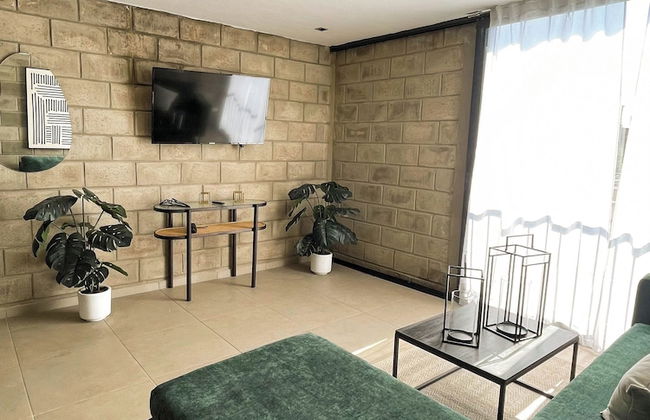 Tribu Centro Histórico - Foto 32