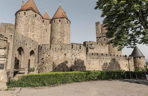 Carcassonne mon amour - Foto 26