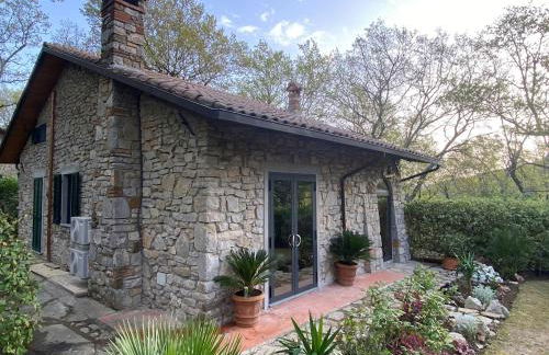 Villa Donati - Photo 61