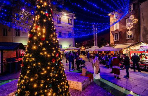 Villa Madison, Spacious Sea View Apartments Near Zadar with heated pool - Photo 64