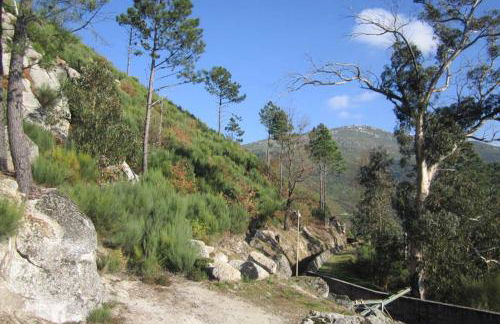 Casa Oeste - Photo 51